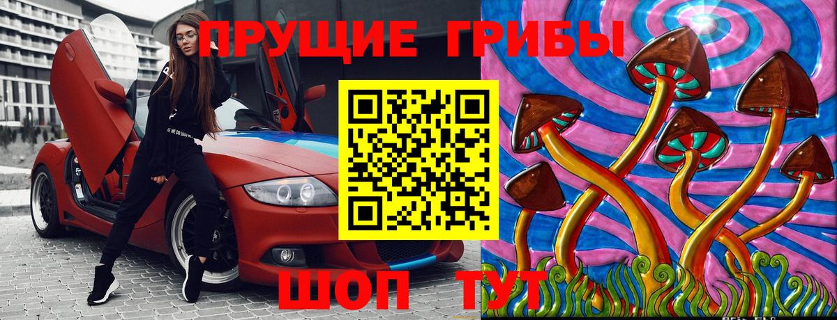Псилоцибиновые грибы мицелий Заводоуковск