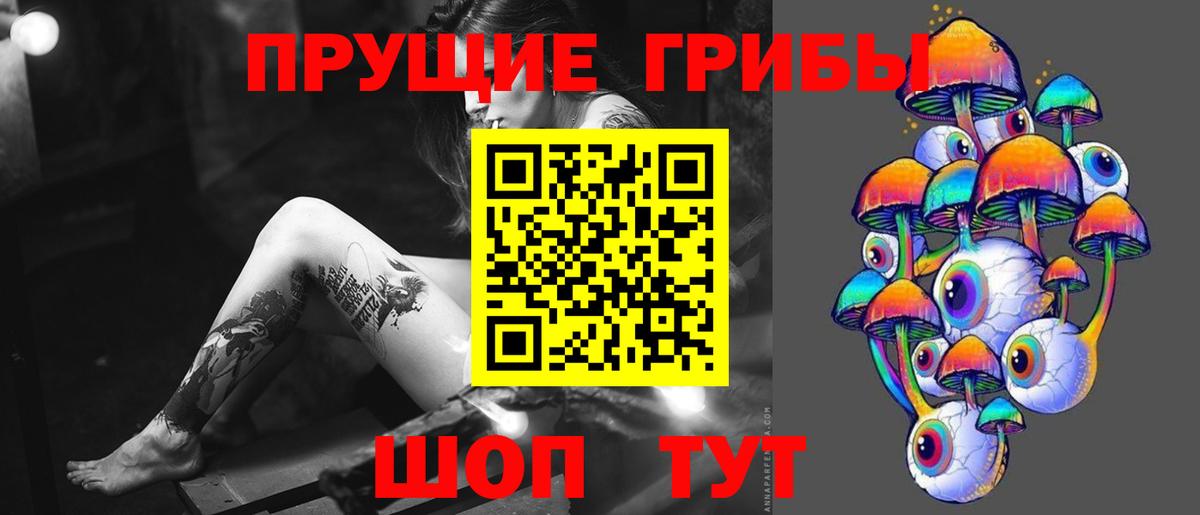 Галлюциногенные грибы Psilocybe  Вход с VPN  Заводоуковск 